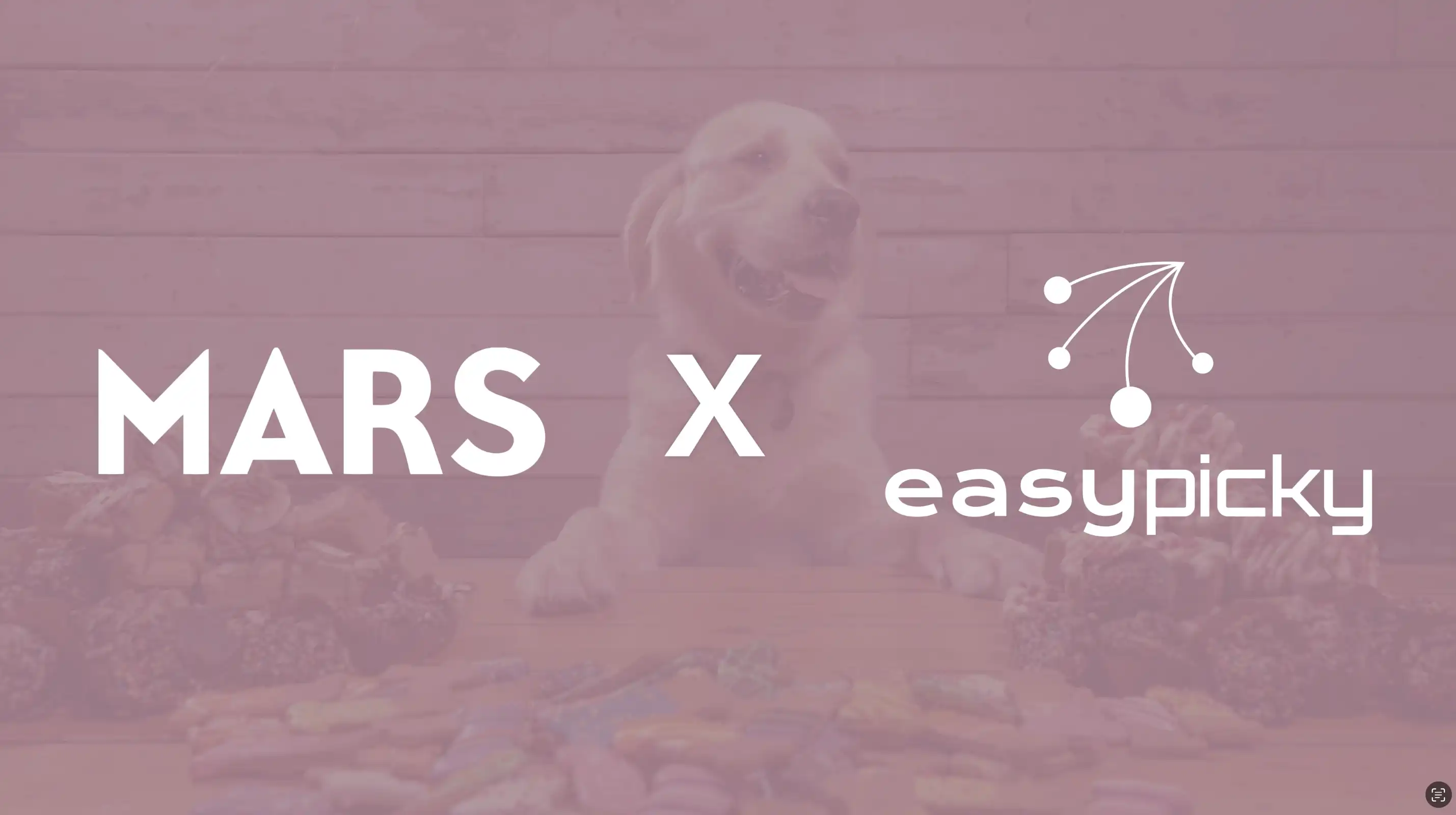 Comment Mars gagne en productivité grâce à EasyPicky ?